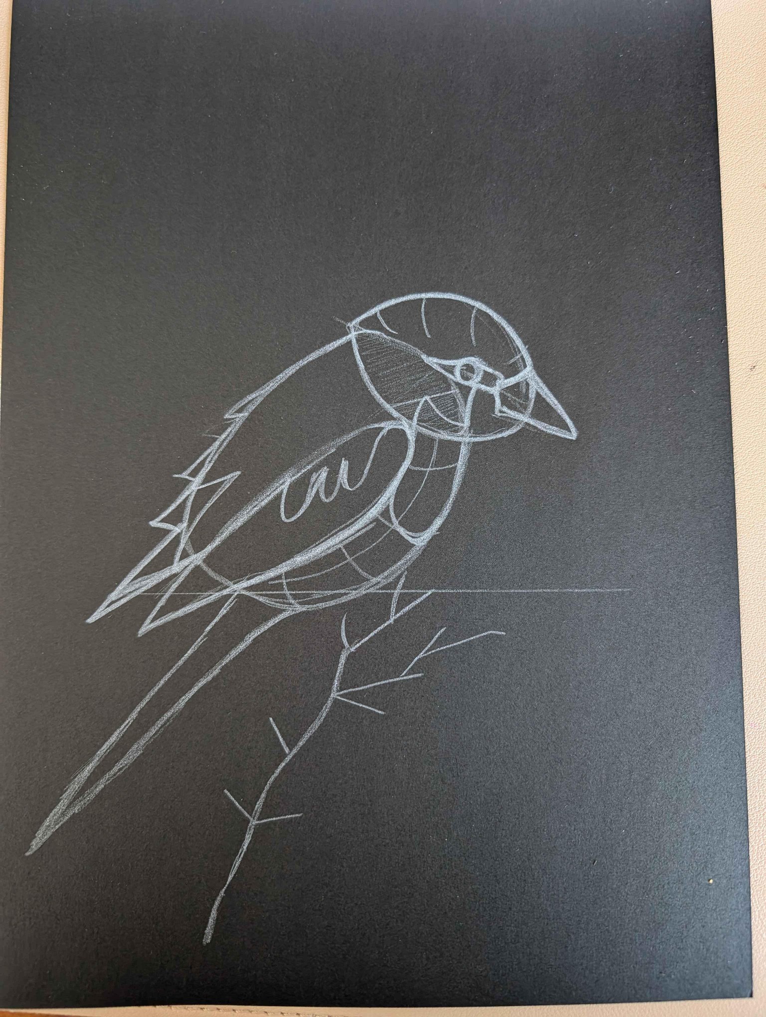 Bird with acrylic markers - image 2 - student project