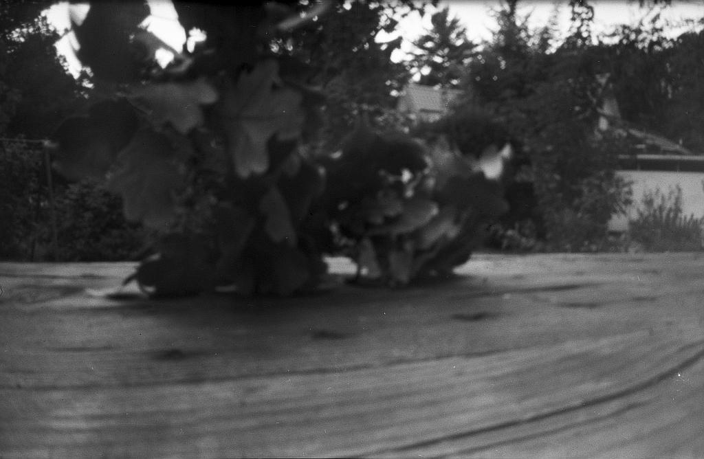 exploring with my selfmade 6x9 pinhole - image 2 - student project