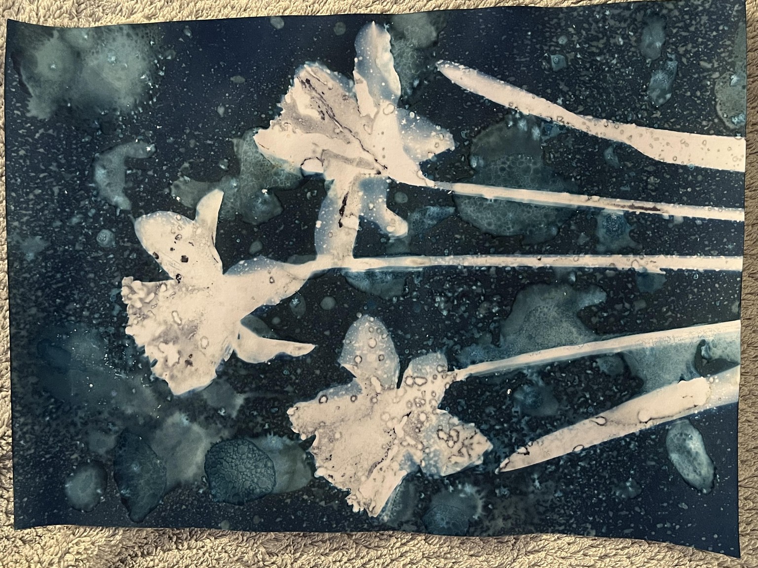 Wet Cyanotype play - image 1 - student project