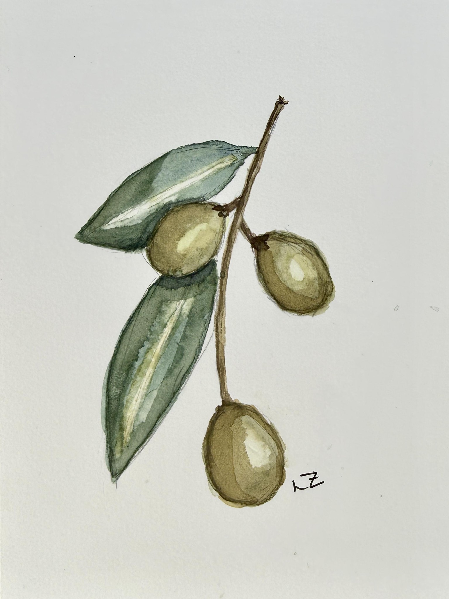 Olives - image 3 - student project