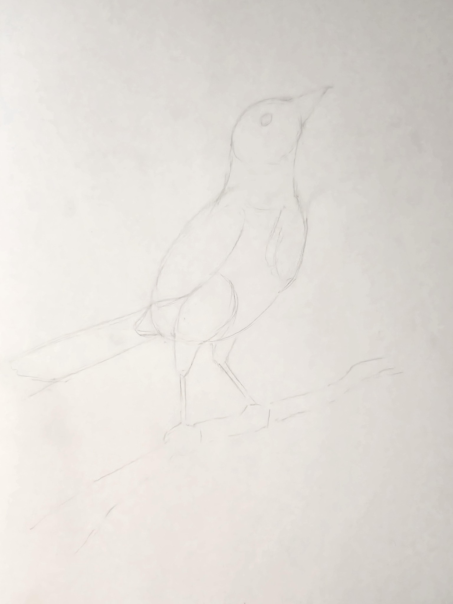 初めてのプロジェクト！ - image 3 - student project