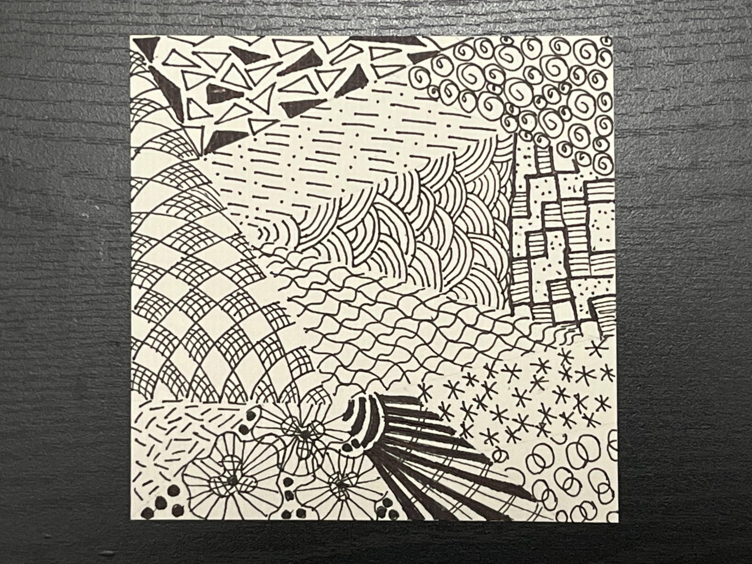 Black and White Patterns - image 1 - student project