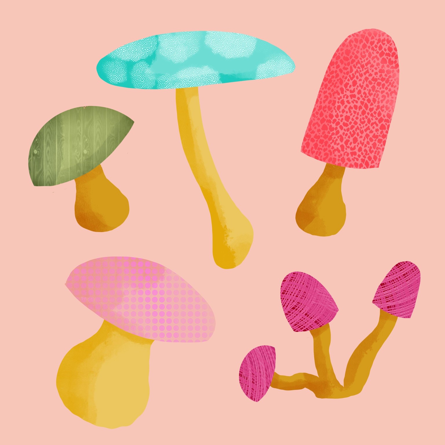 End of course - image 2 - student project