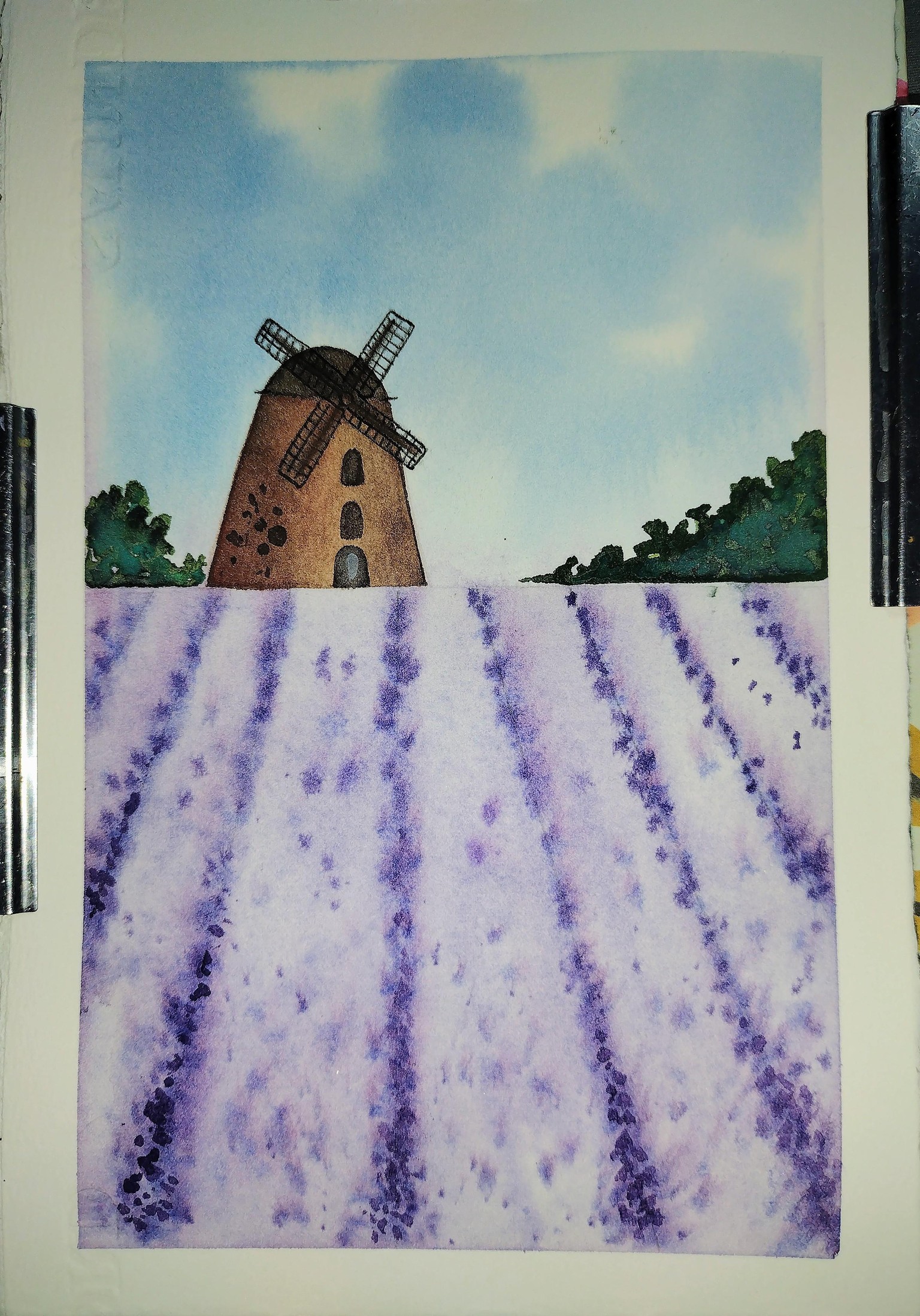 Nature In watercolor Projects - image 9 - student project