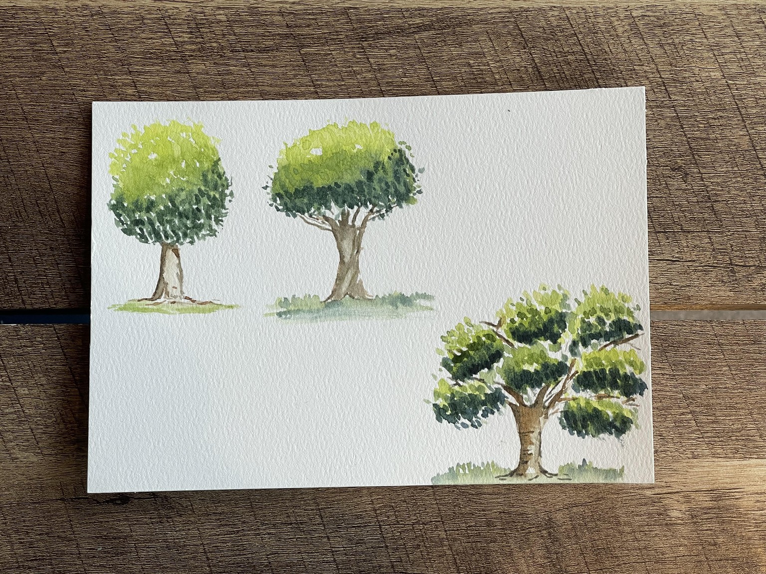 Painting Trees - image 2 - student project