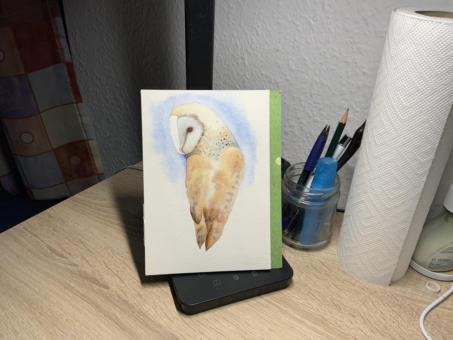 Barn owl - image 1 - student project