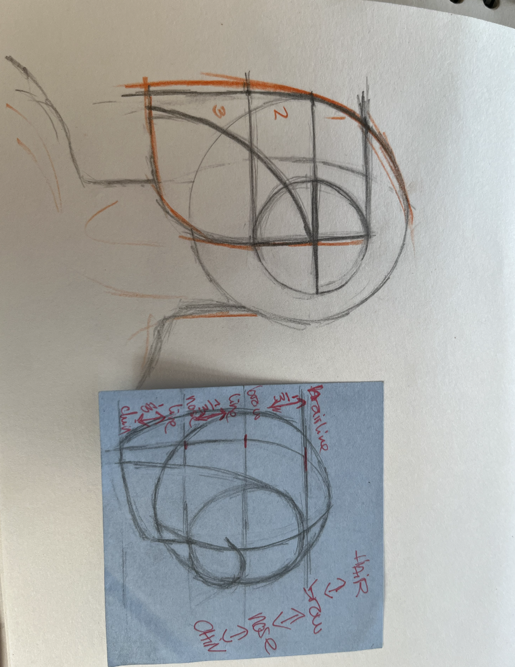 7 Loomis heads - image 3 - student project