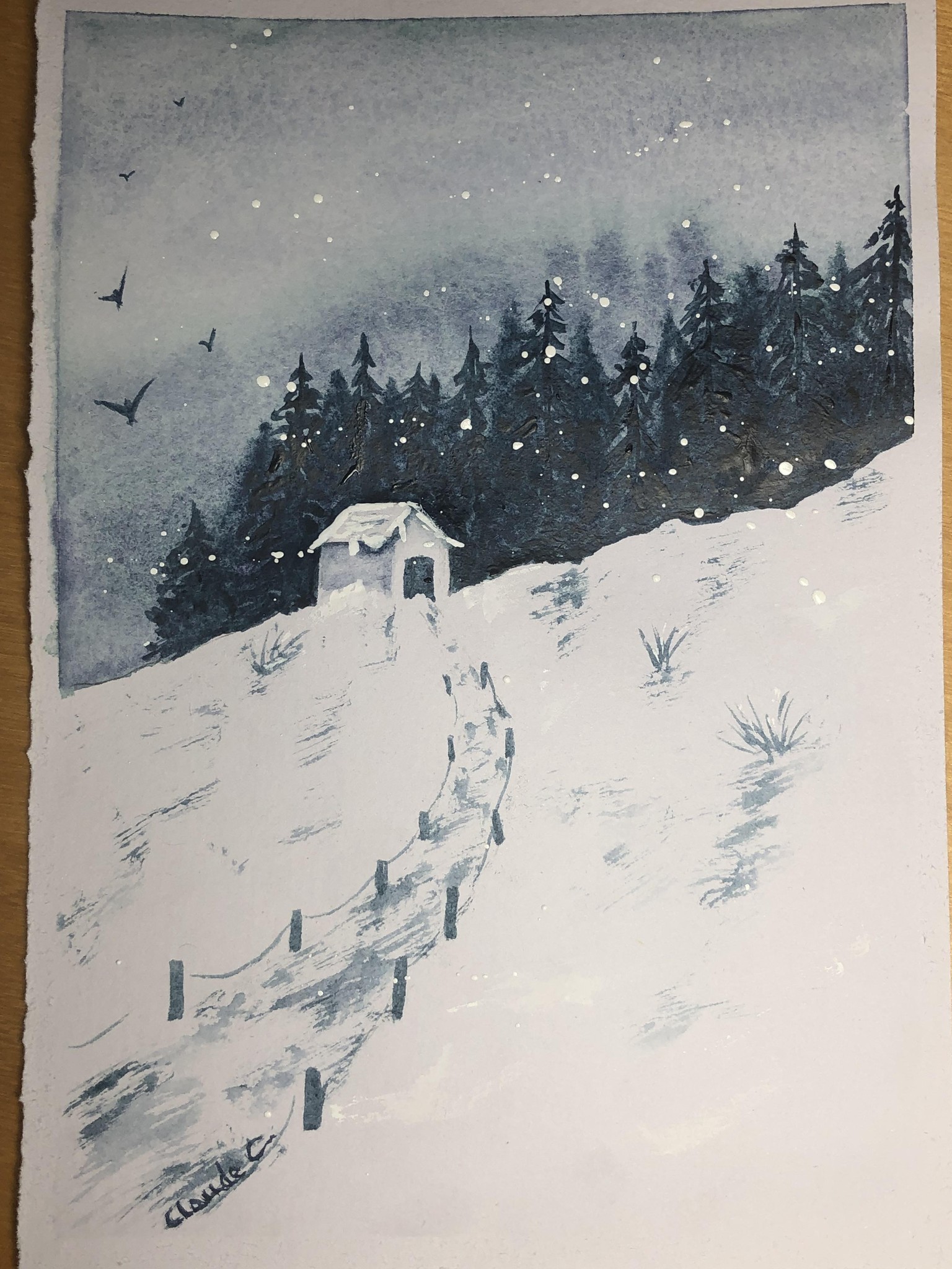 Snow and Pines - image 2 - student project
