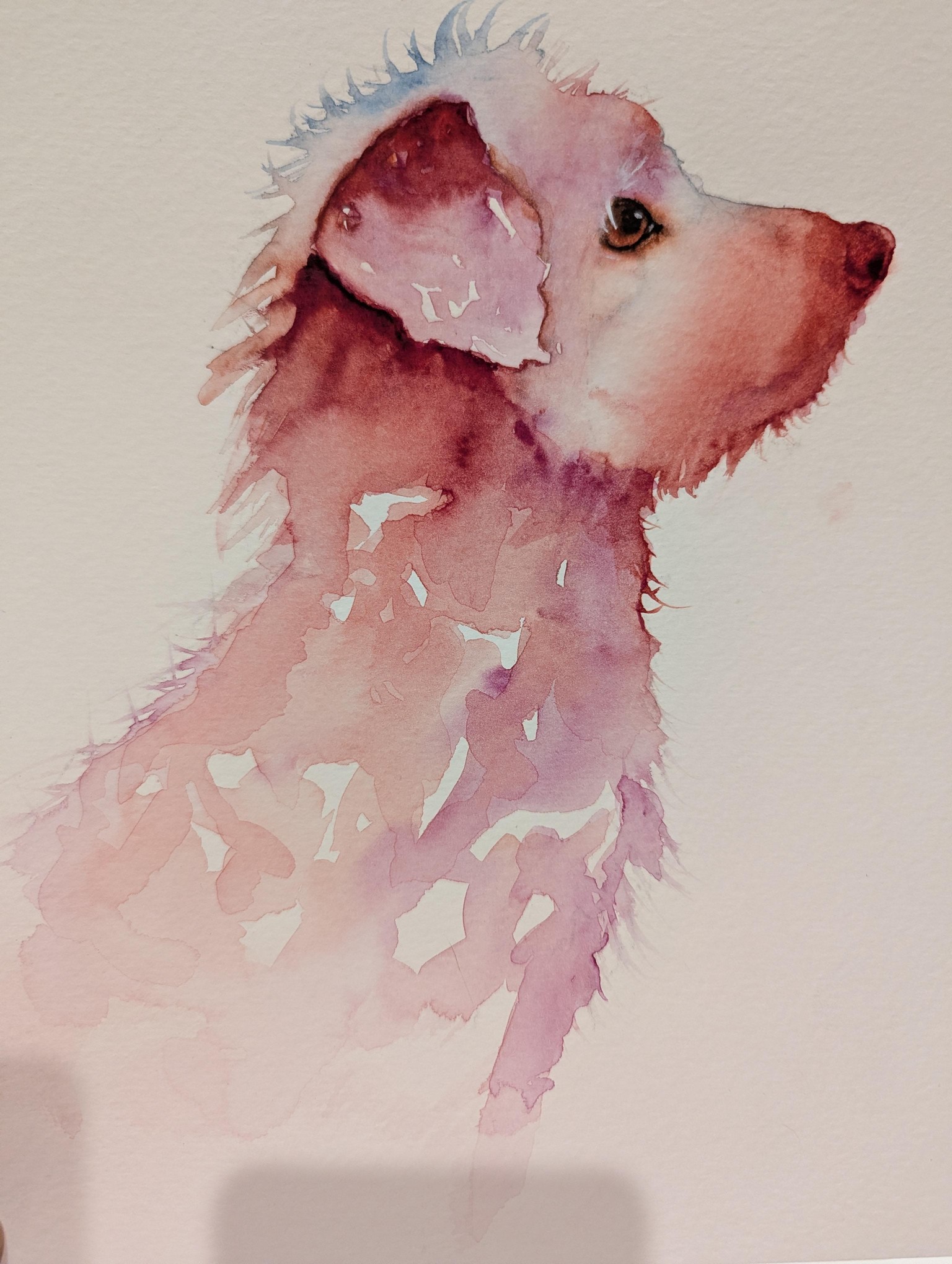 Pups - image 4 - student project