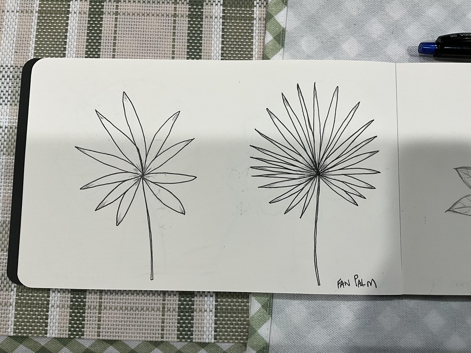 How to draw simple tropical leaves - image 1 - student project
