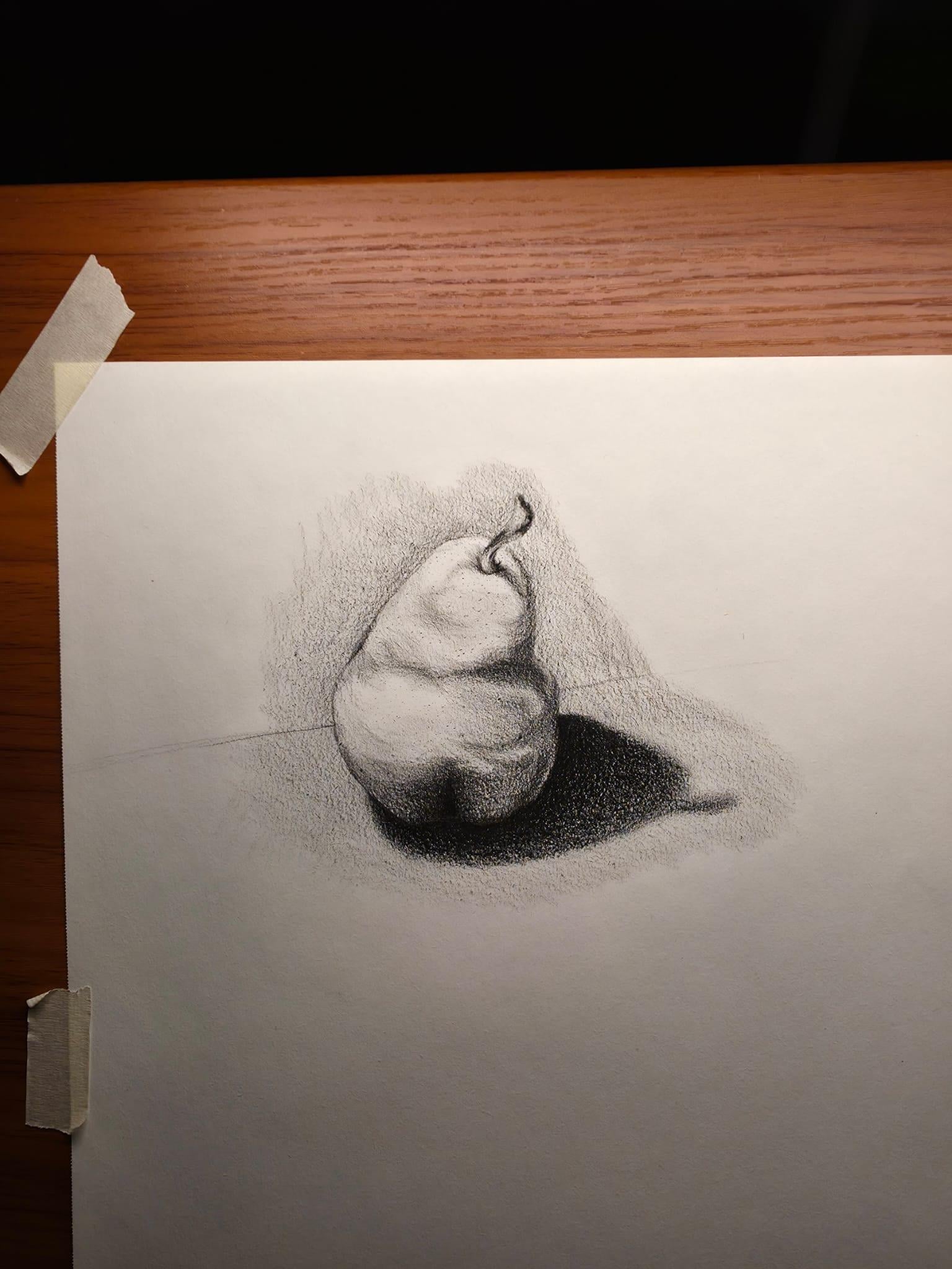 Exercises + Final Project - image 4 - student project