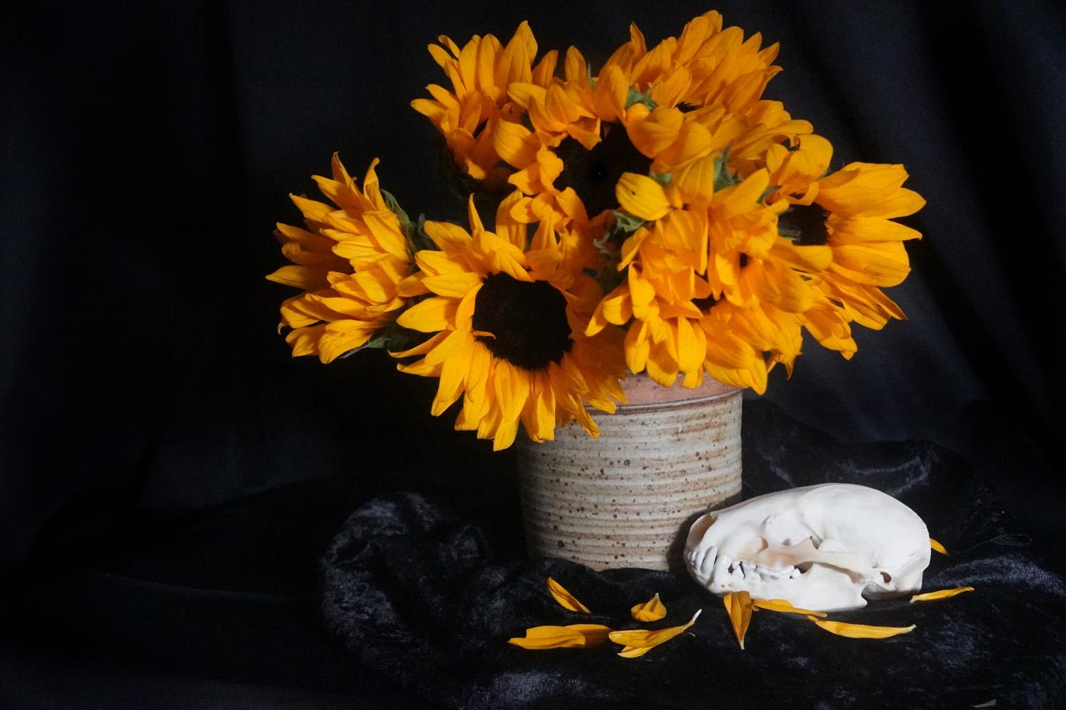 Still Life and Death - image 2 - student project