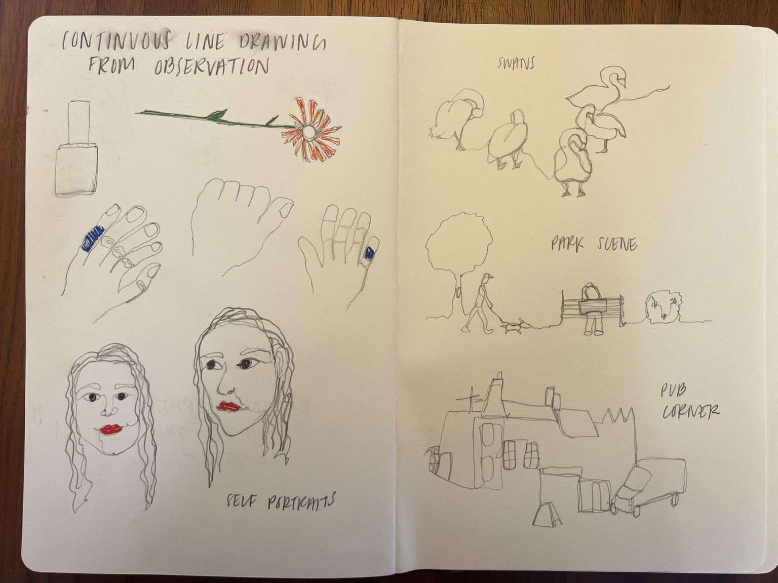 Continuous Line Observational Drawings - image 1 - student project
