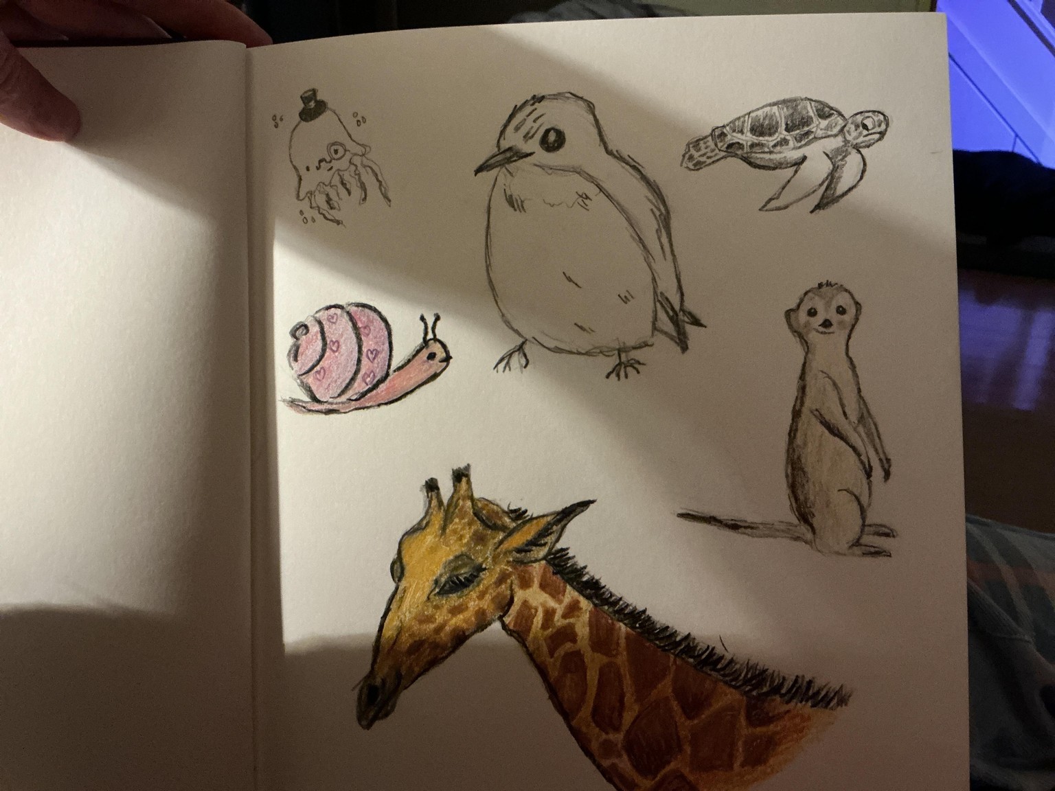 Attempt at cuties! - image 1 - student project