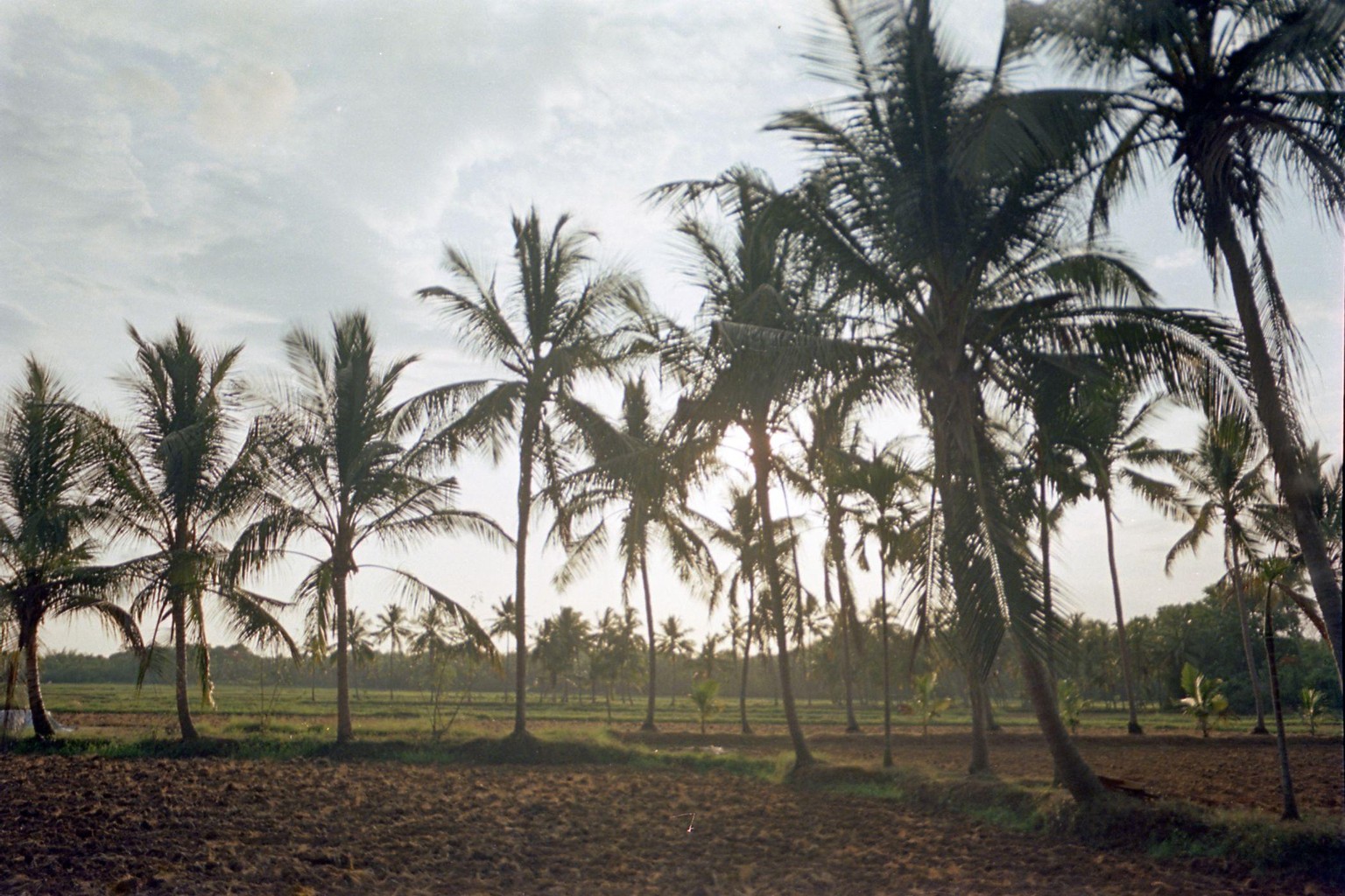 My hometown on film - image 4 - student project
