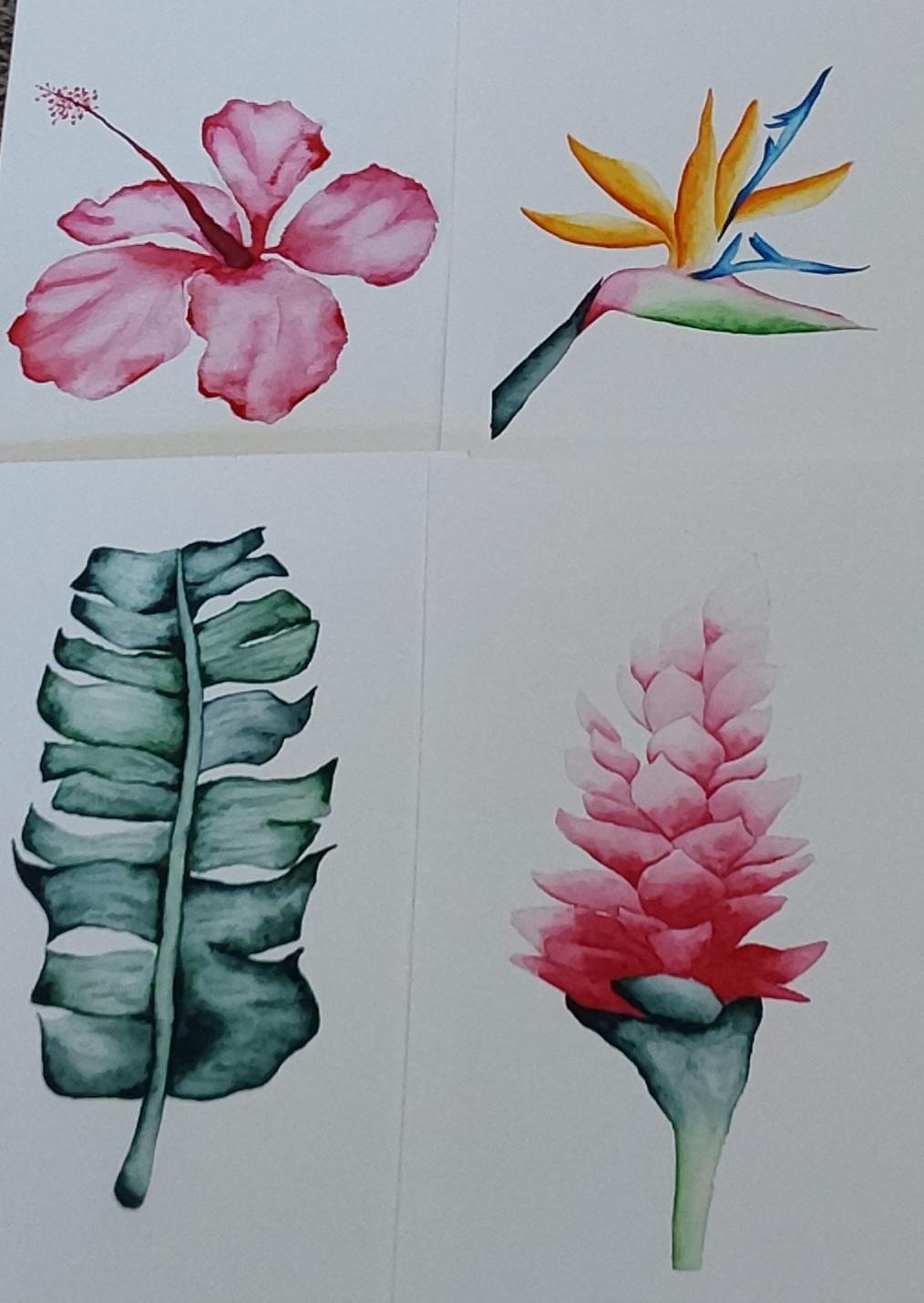 Tropical time! - image 1 - student project