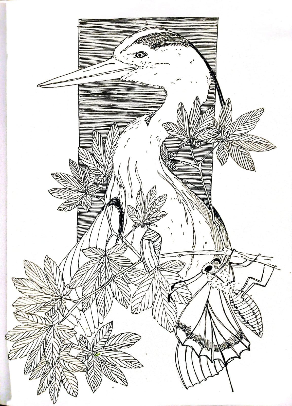 composicion naturaleza - image 1 - student project