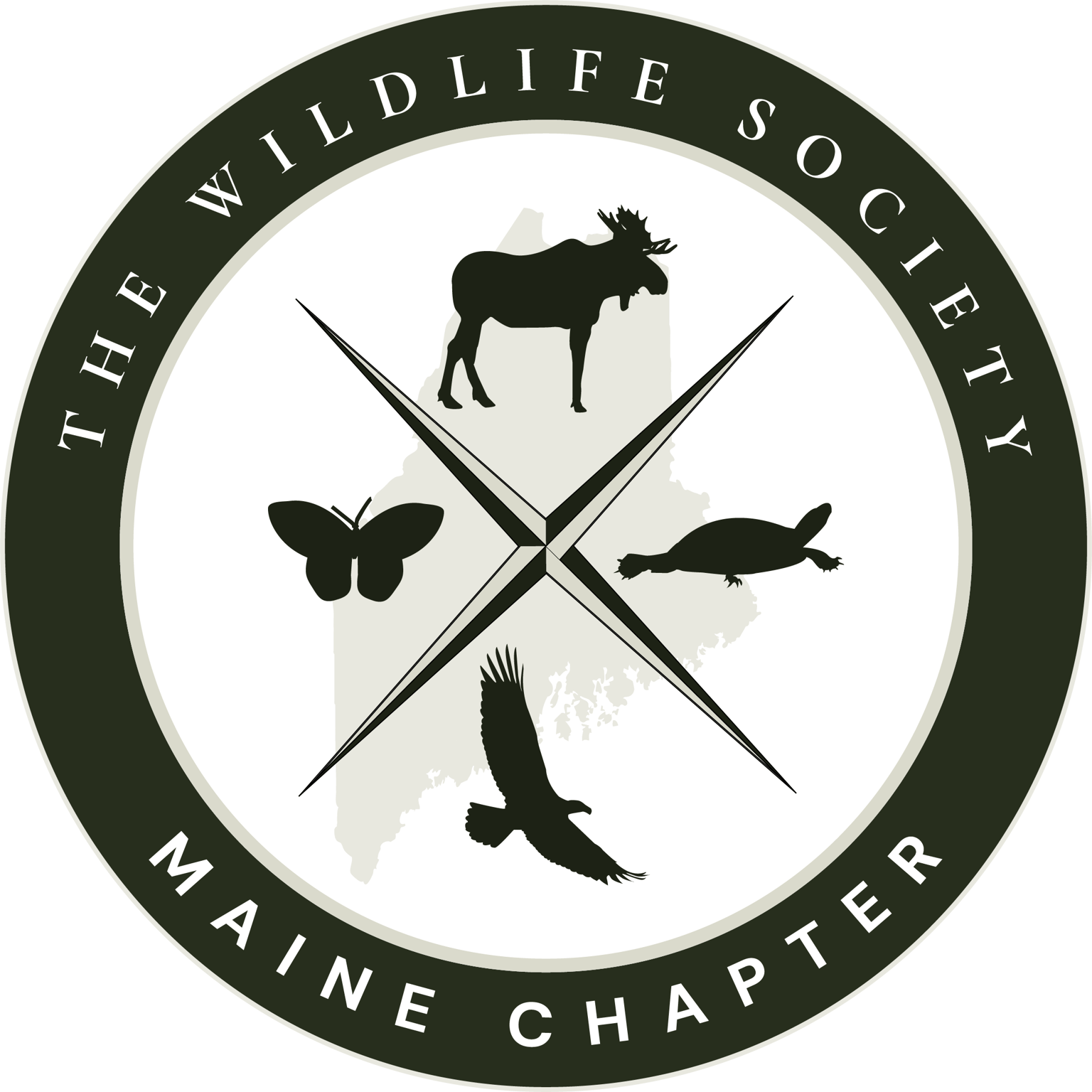 Seal Logo Project - image 1 - student project
