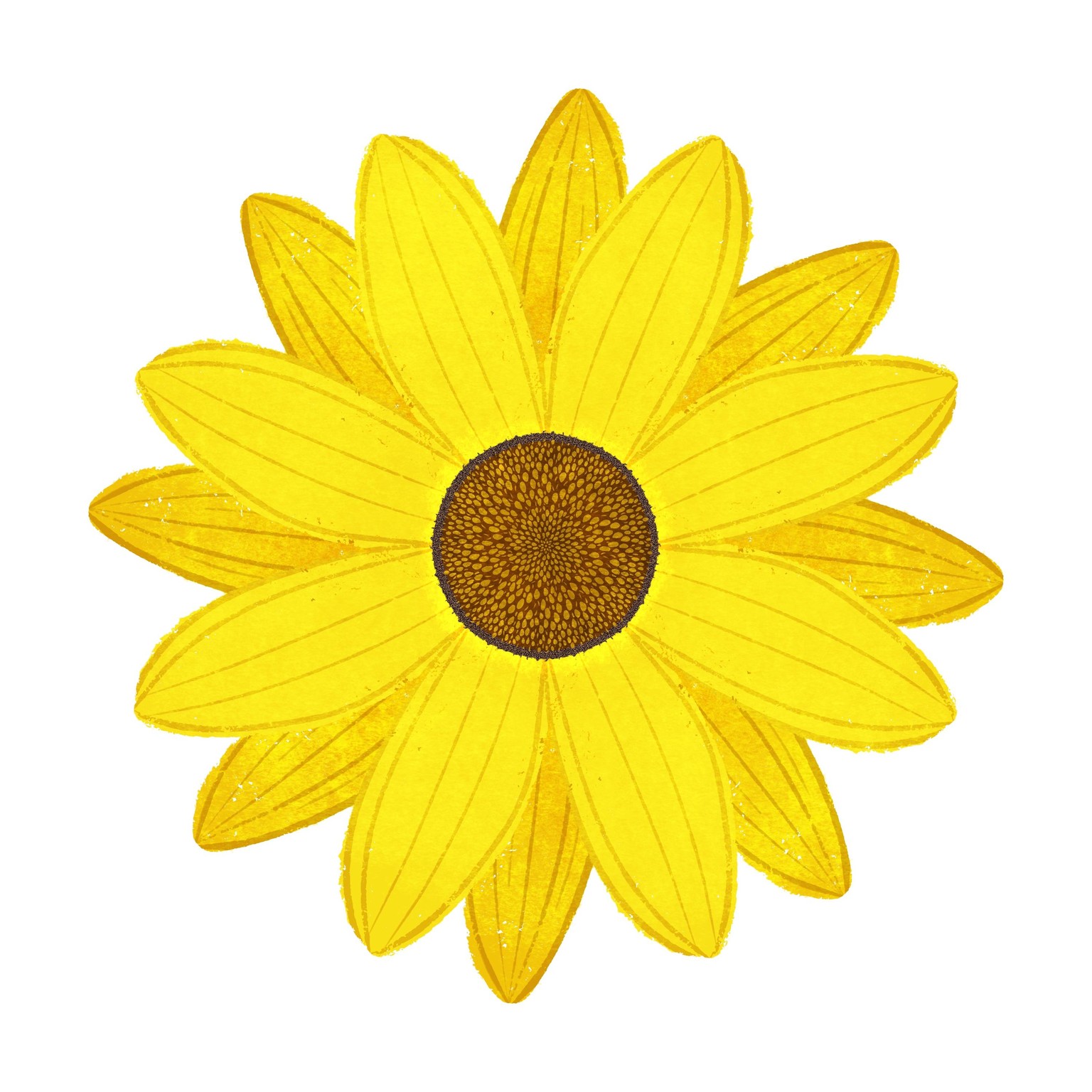 Sarah's Sunflowers- revamped - image 3 - student project