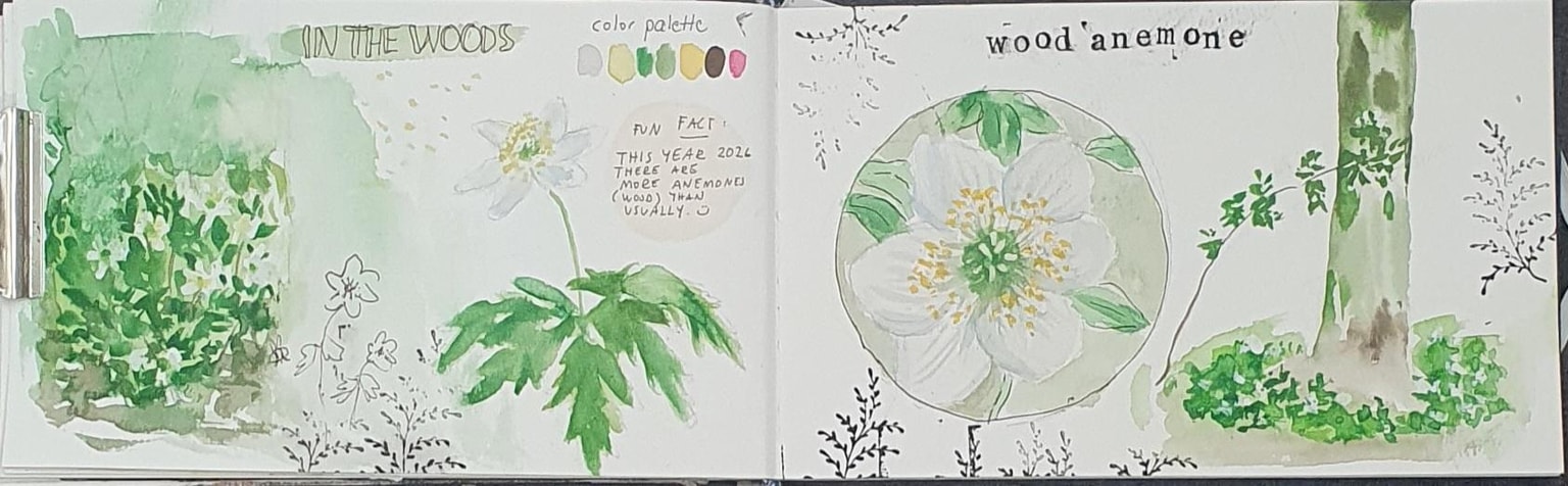 Nature journaling :))) - image 1 - student project