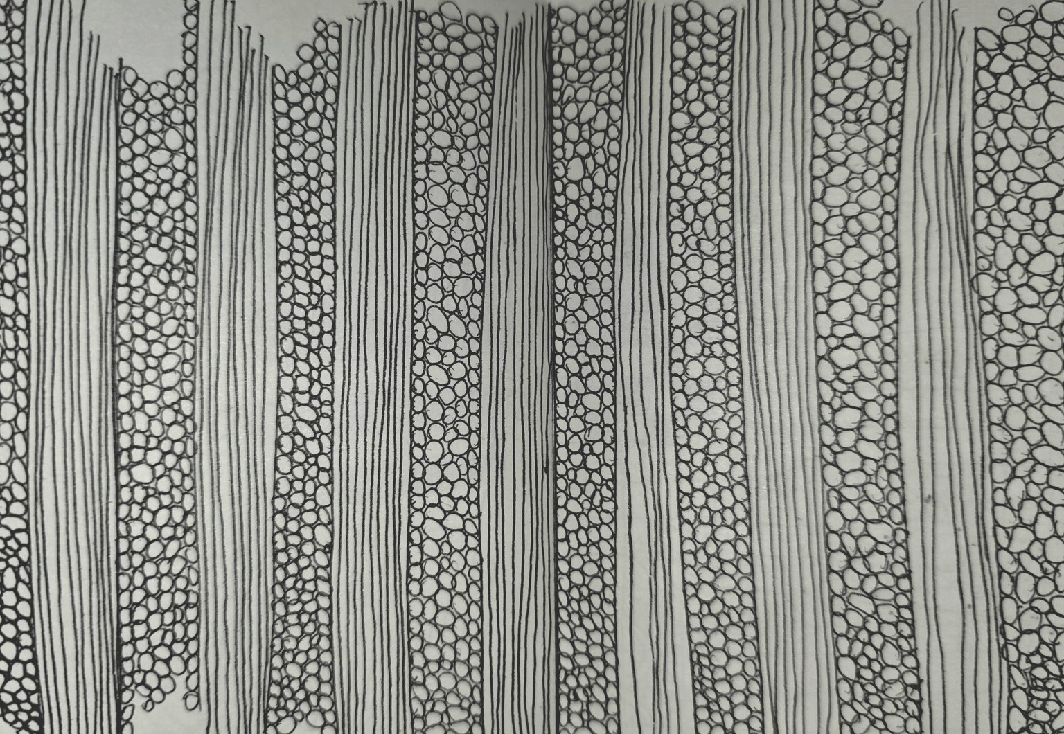 My 14 day mindful pattern class project - image 1 - student project