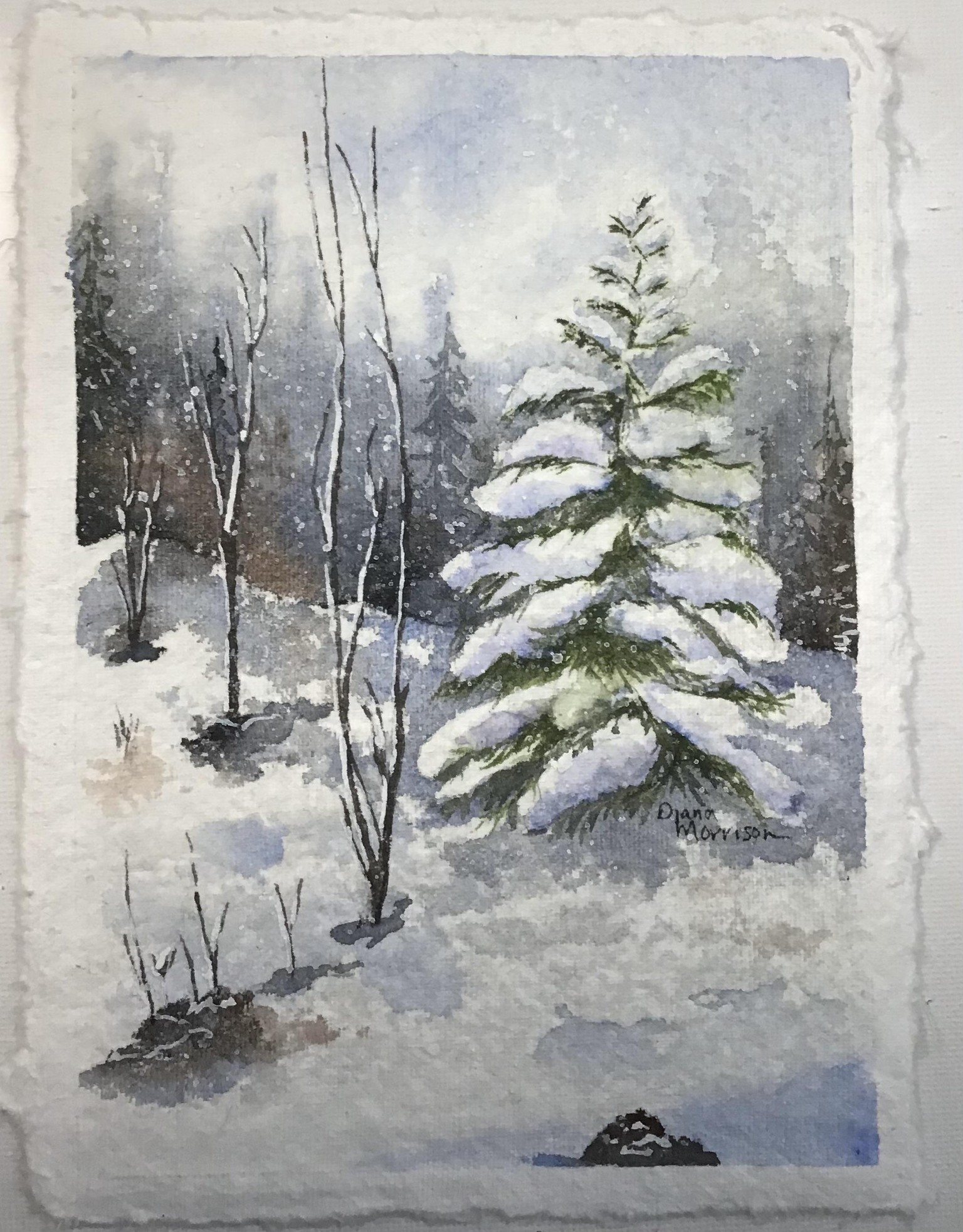 Wintry Forest - image 1 - student project