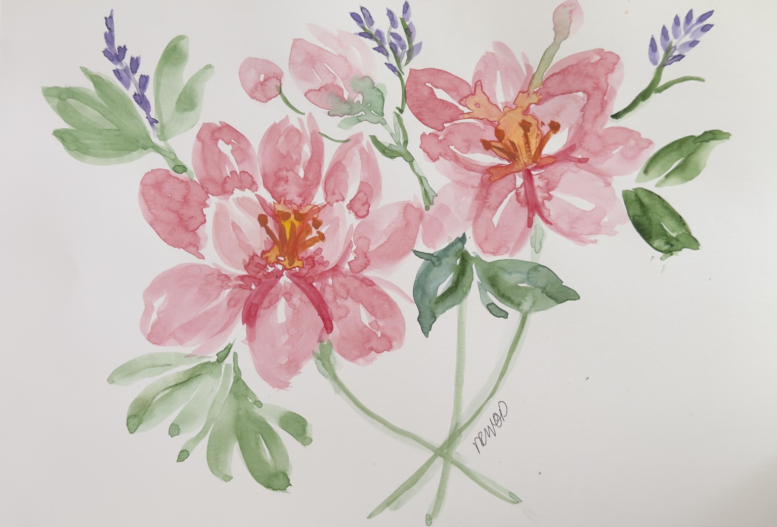 Loose Watercolor Peony (not so easy!) - image 1 - student project