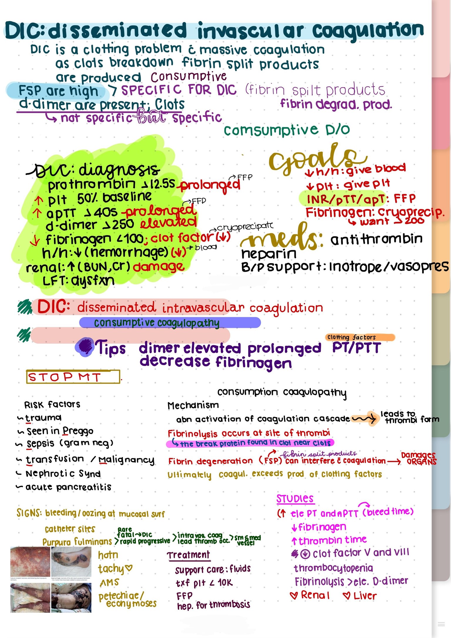 CCRN Astro - image 3 - student project