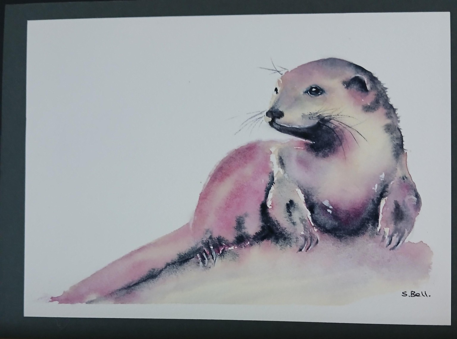 Otter - image 1 - student project
