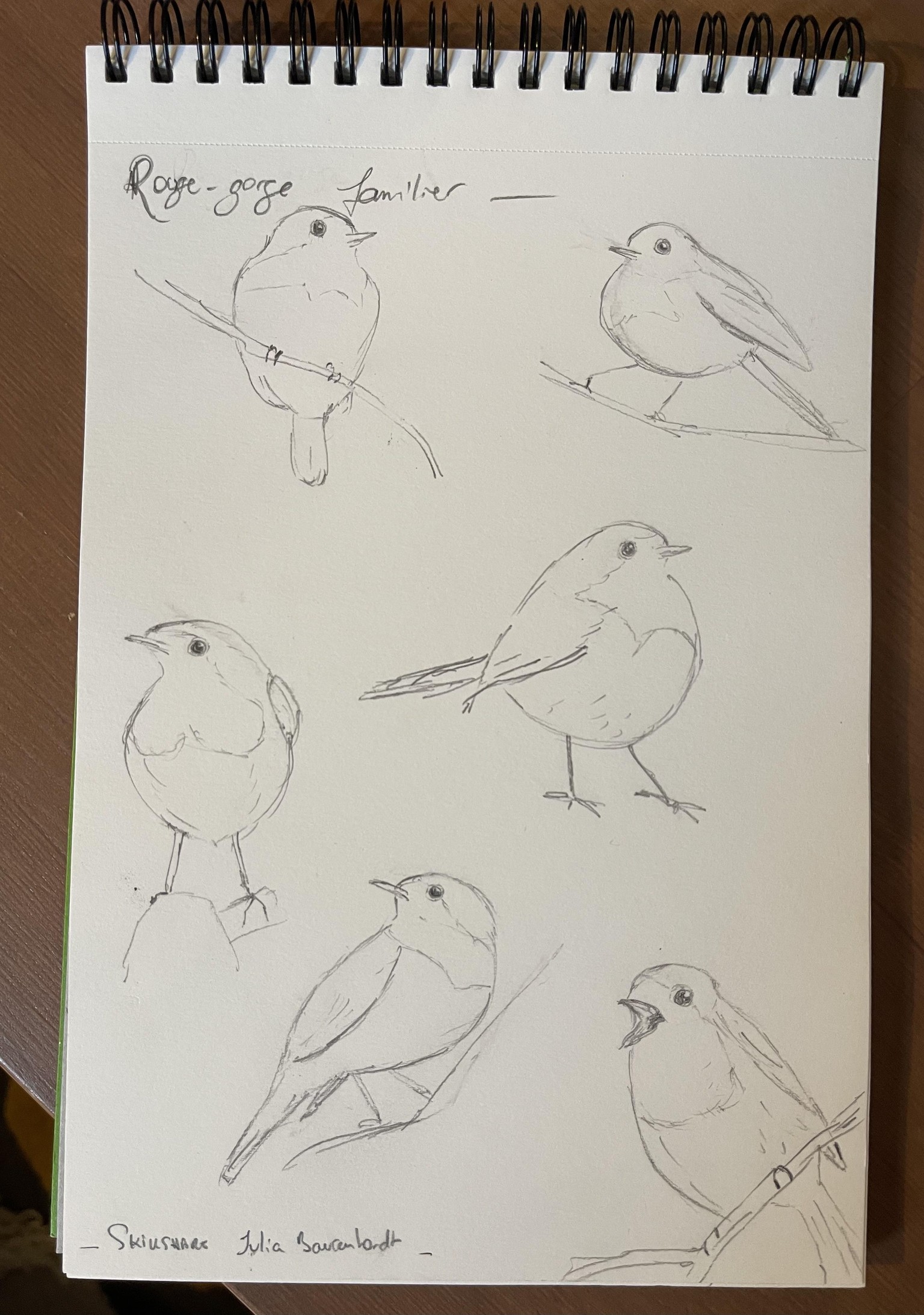 Cuties đŚâ⏠- image 3 - student project