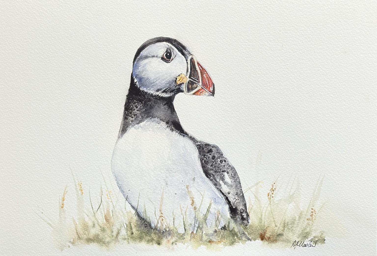 Puffins - image 2 - student project