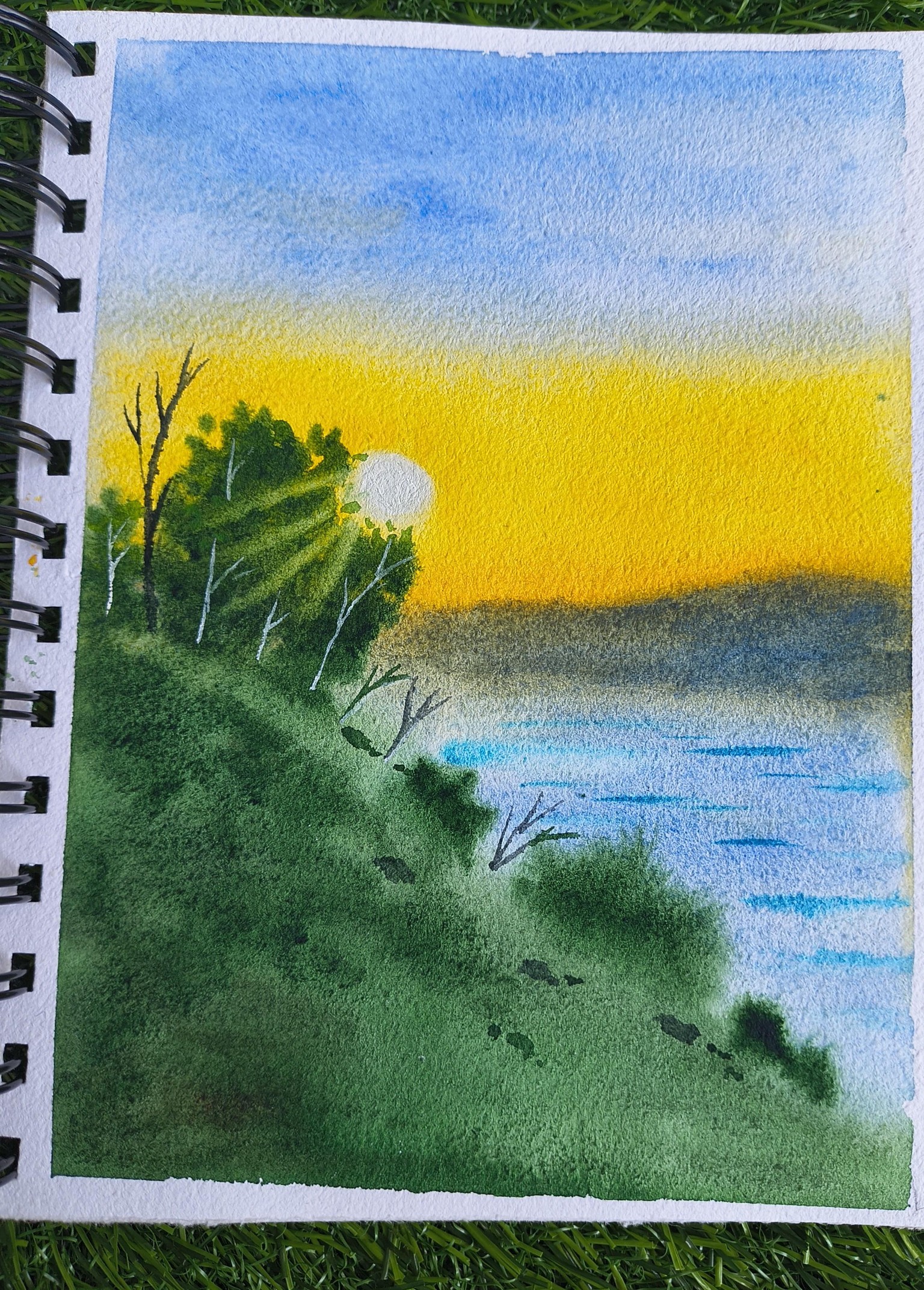Mini Landscapes with Raniya - image 1 - student project