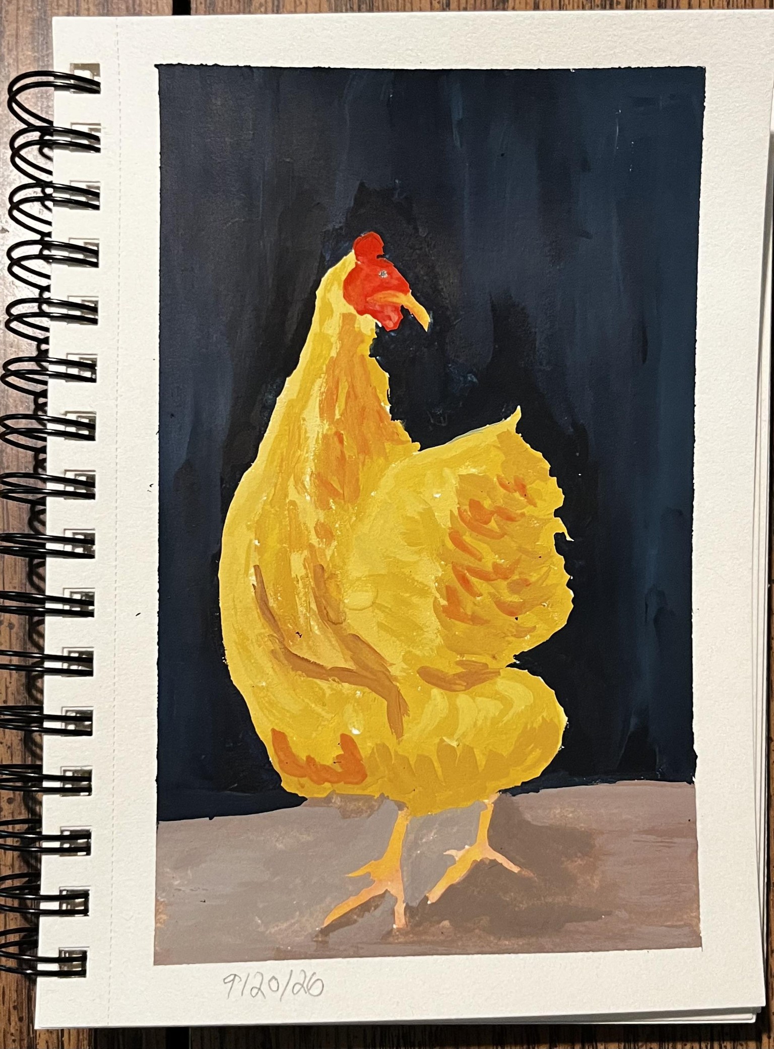 Chicken Portraits - image 3 - student project