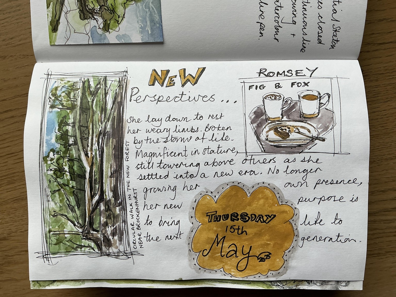 New Perspectives - image 1 - student project