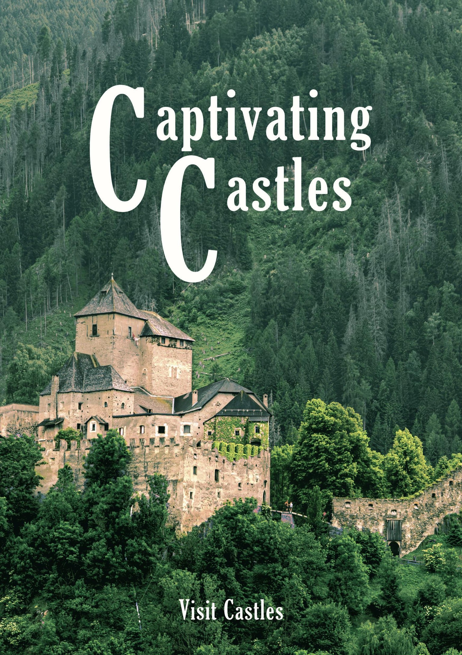 Final project: Castle brochure - image 1 - student project