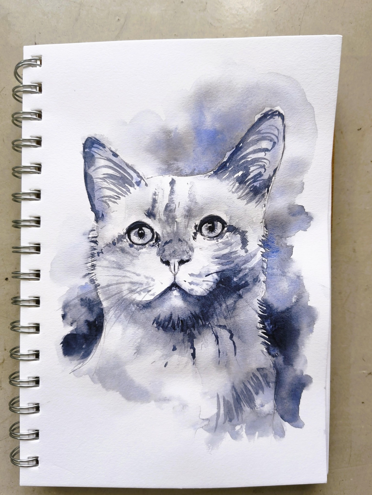 Sketching Animal Portraits: Breaking Down References & Proportions - image 2 - student project