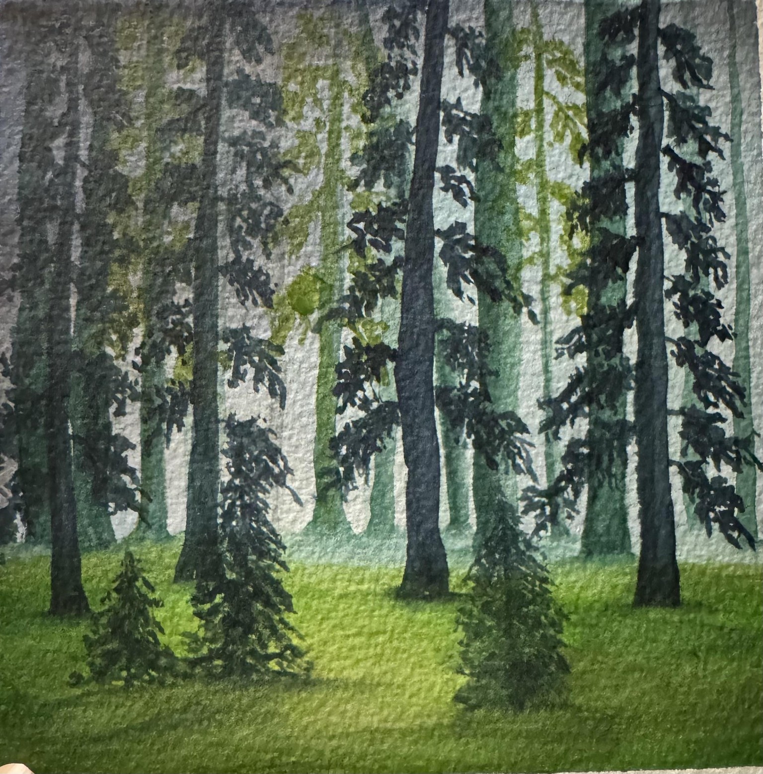 Misty Forest - image 1 - student project