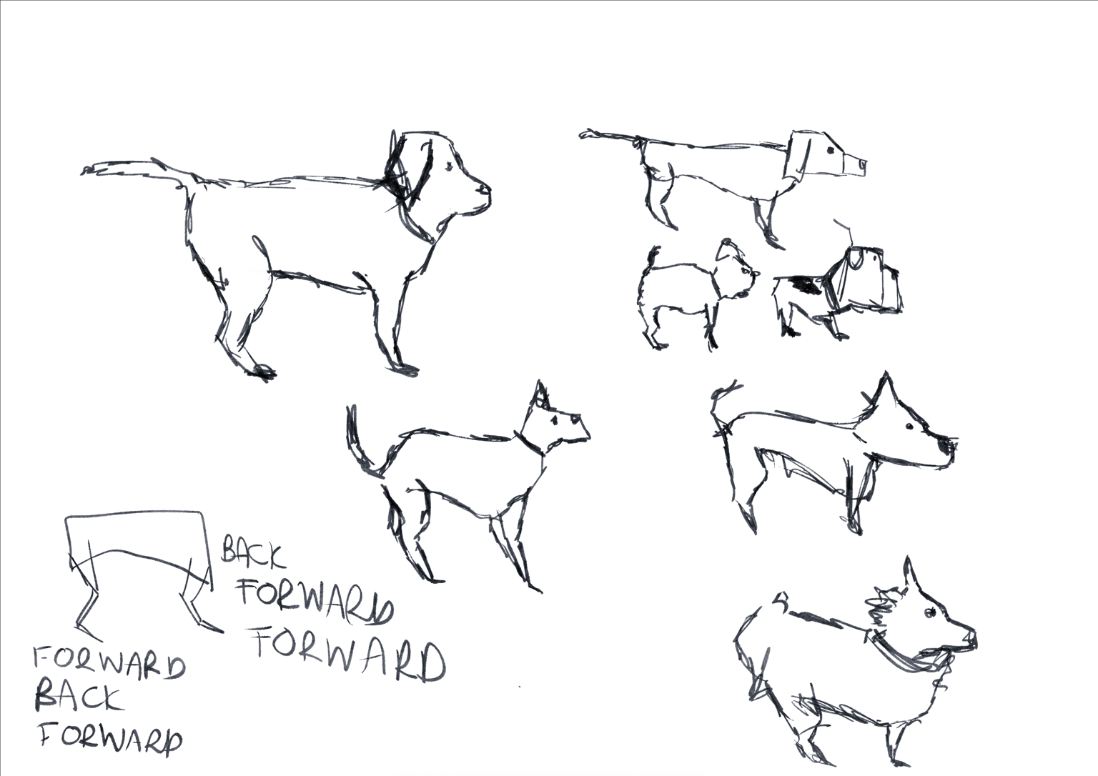 Doodle dogs - image 5 - student project