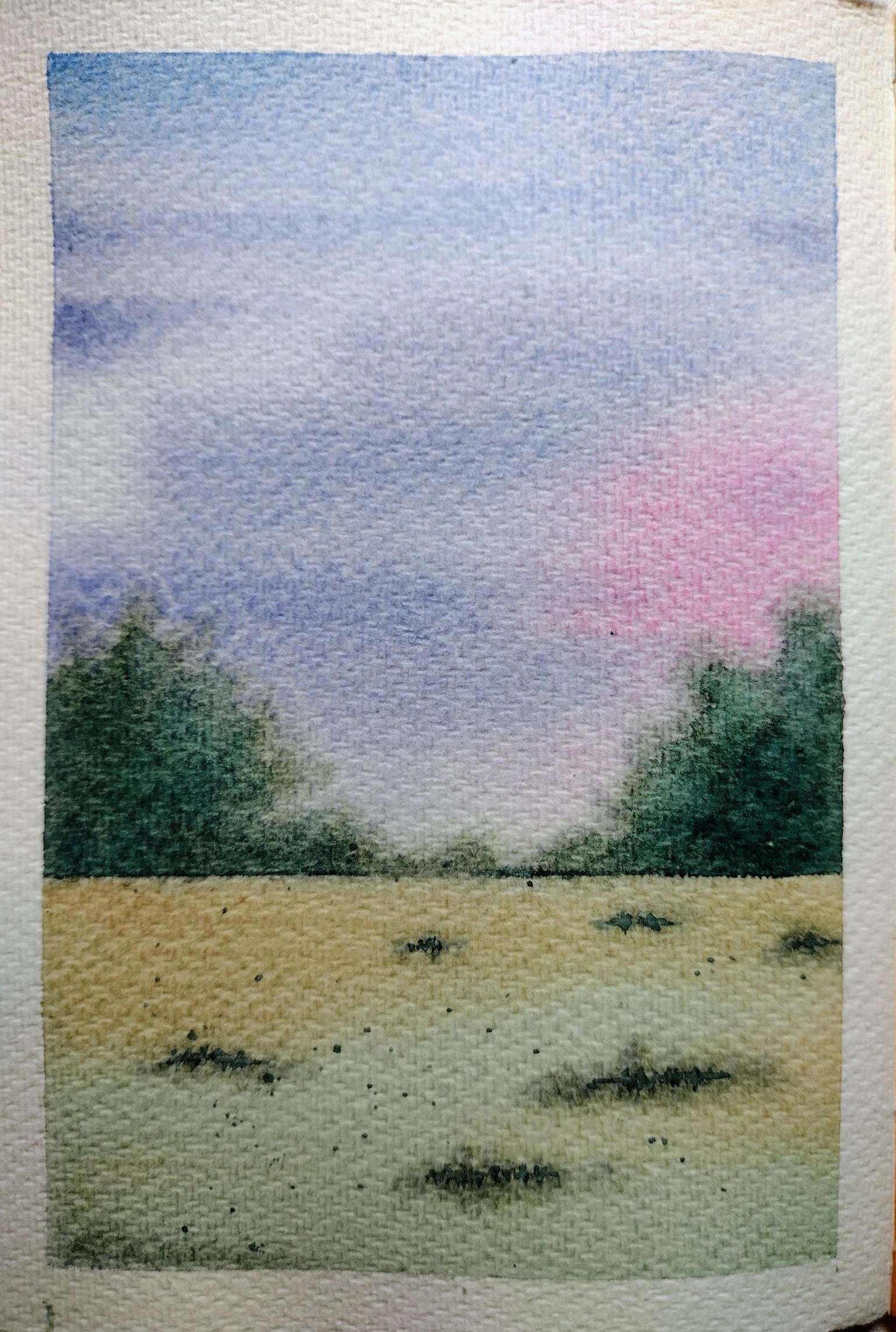 Nature In watercolor Projects - image 28 - student project