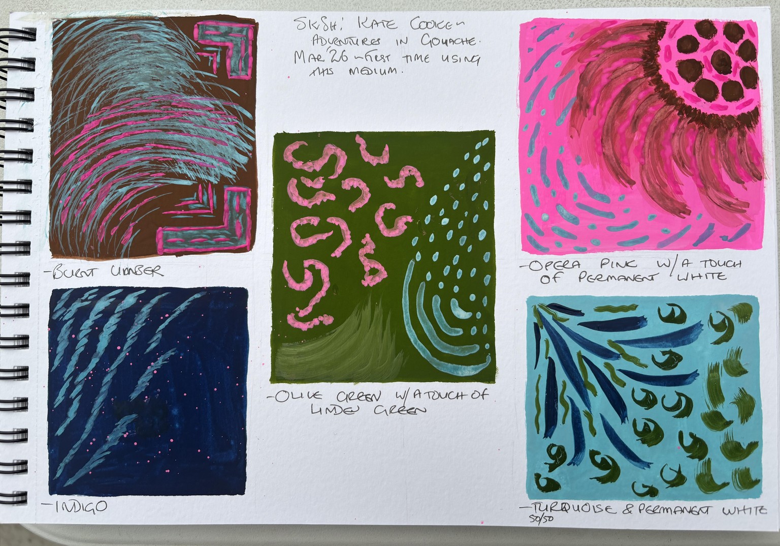 Paua, Pipi Shells & Plants in Gouache - image 2 - student project