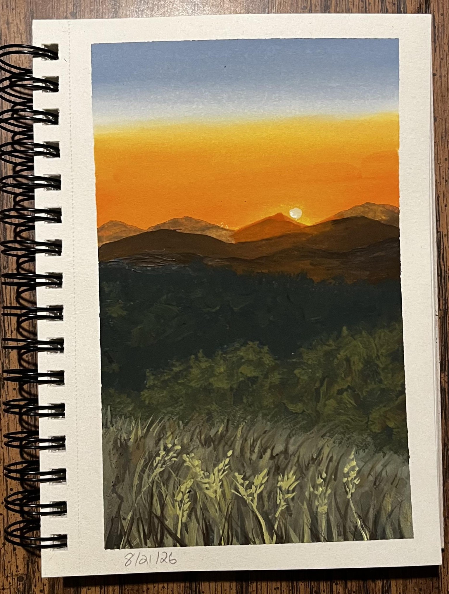 Gouache landscapes - image 6 - student project