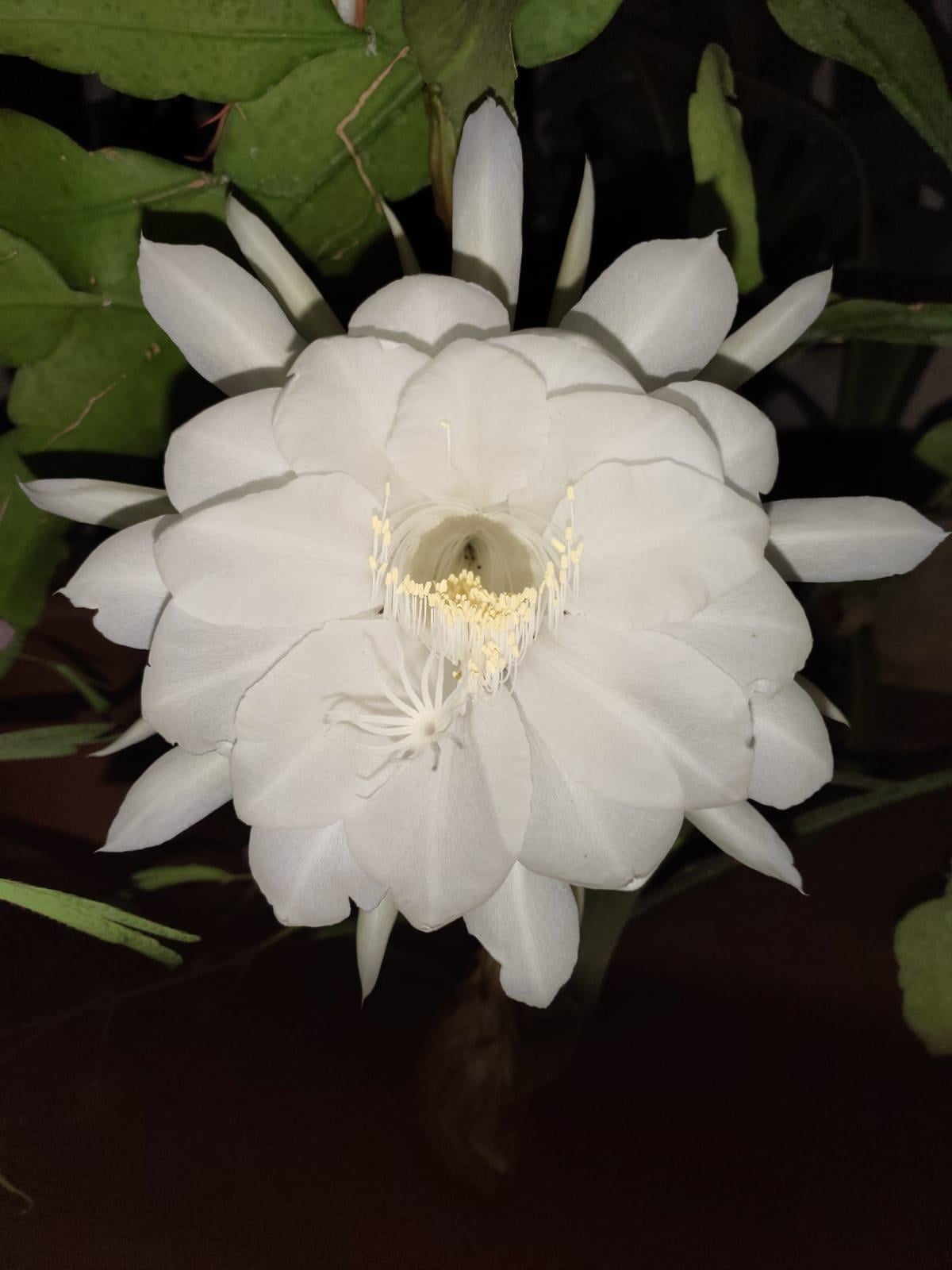 Learning to see creatively - image 18 - student project