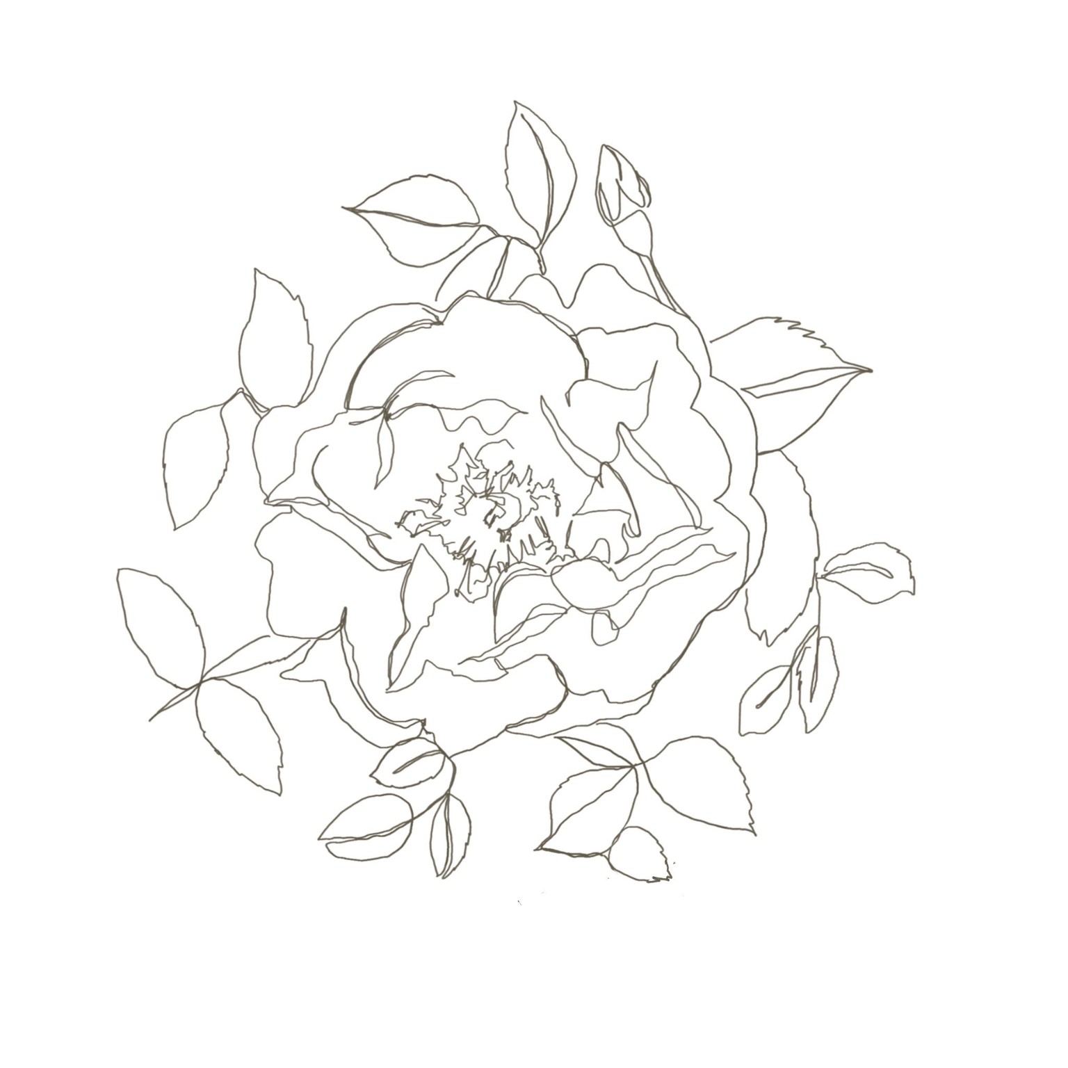 One line drawing, plants and butterfly - image 1 - student project