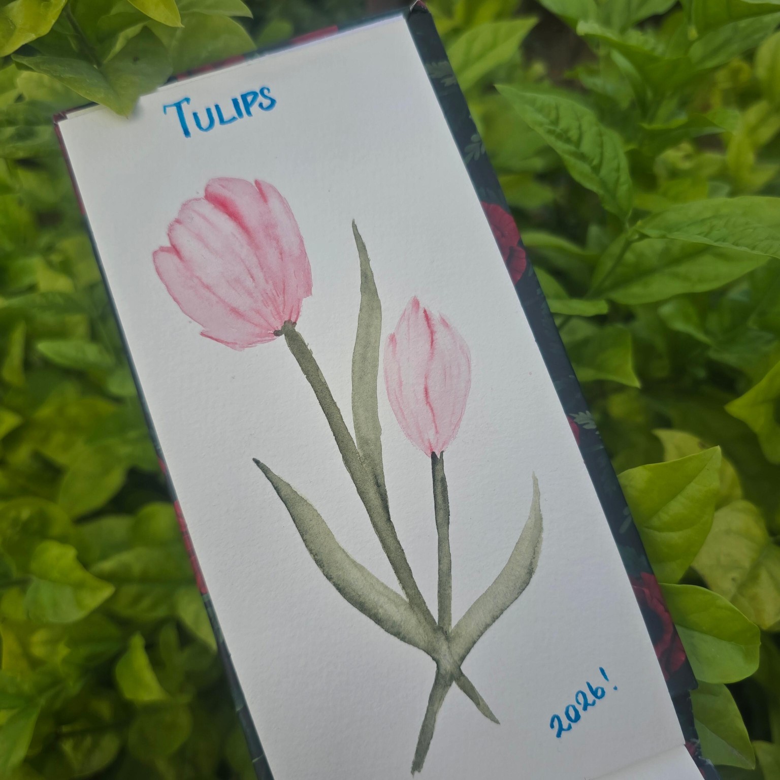 Tulips🌷 - image 2 - student project