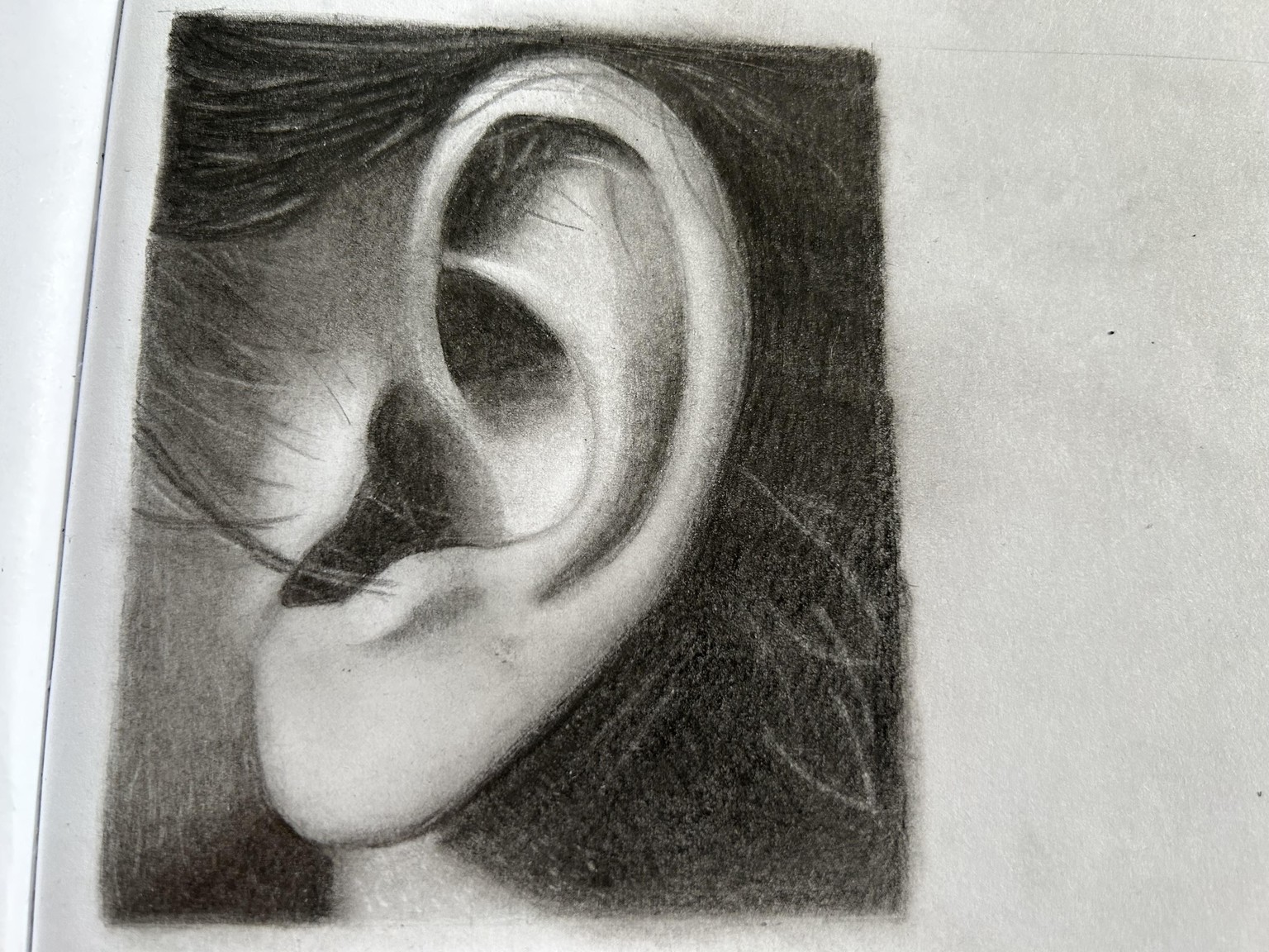 Part 4 - ears - image 1 - student project
