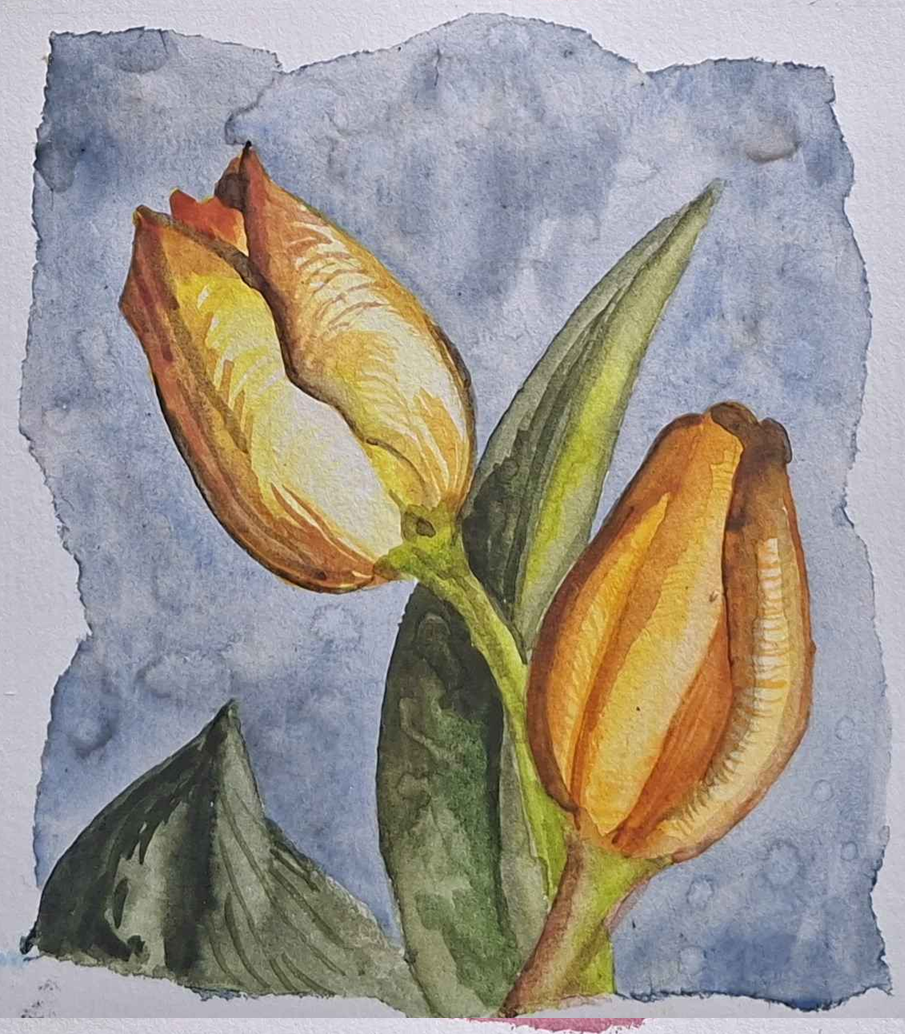 Tulips - image 1 - student project