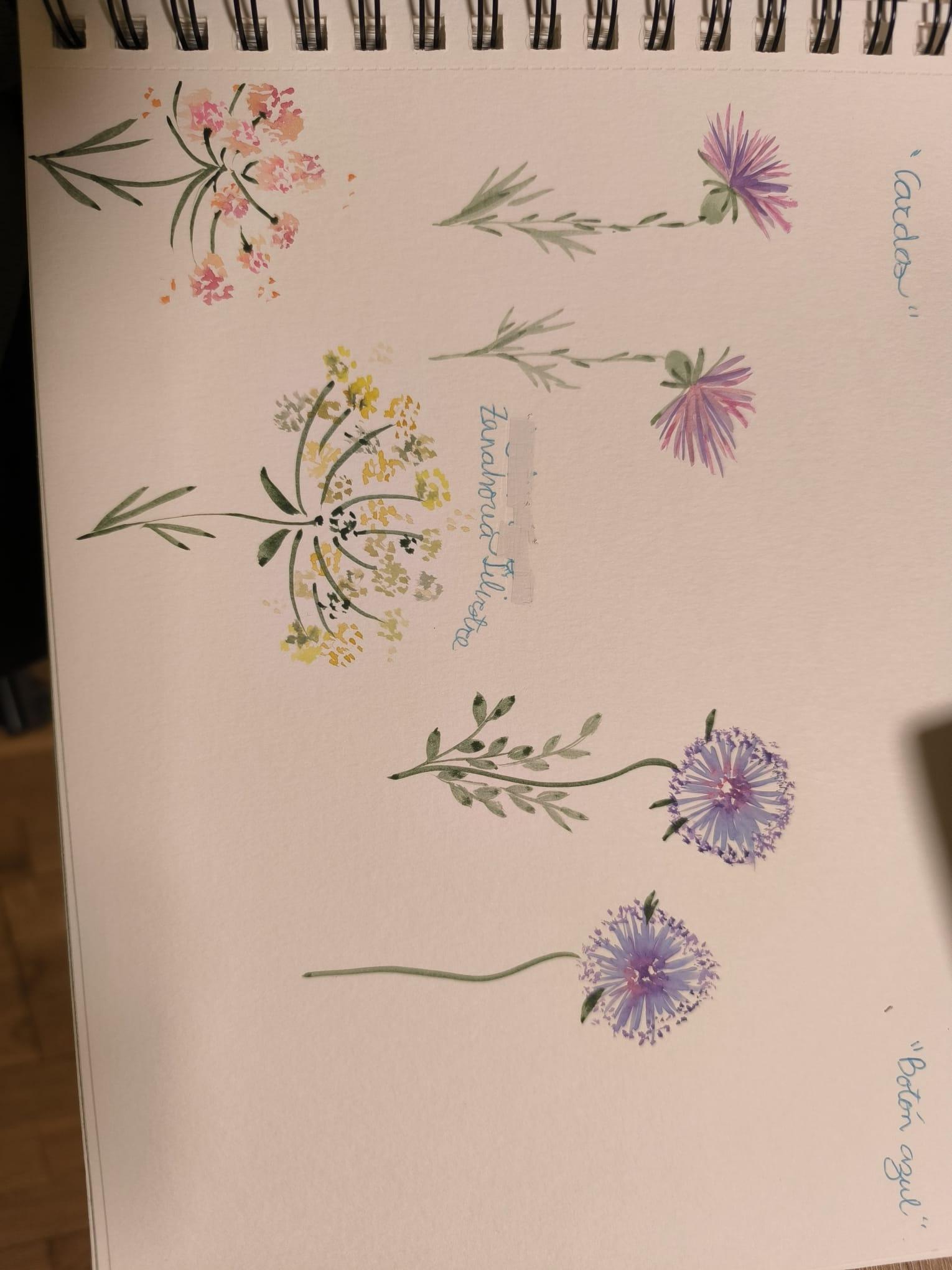 Mis flores Silvestres - image 2 - student project