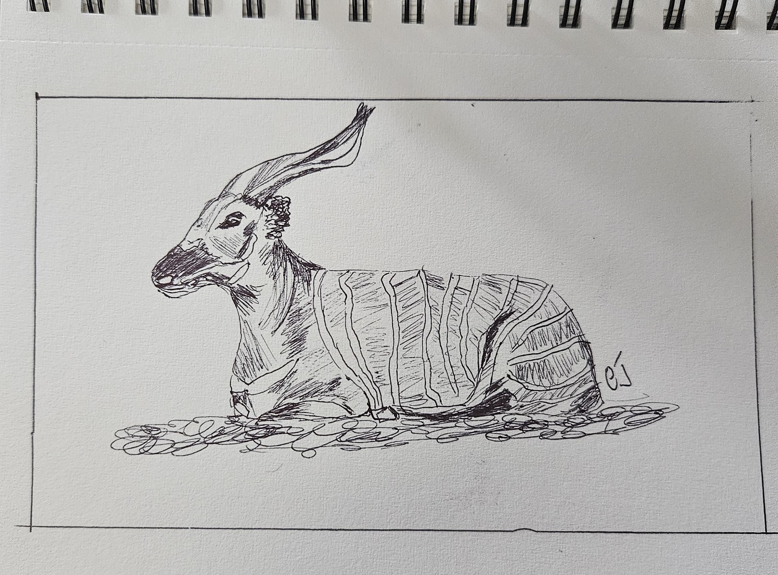 15 min antelope - image 1 - student project