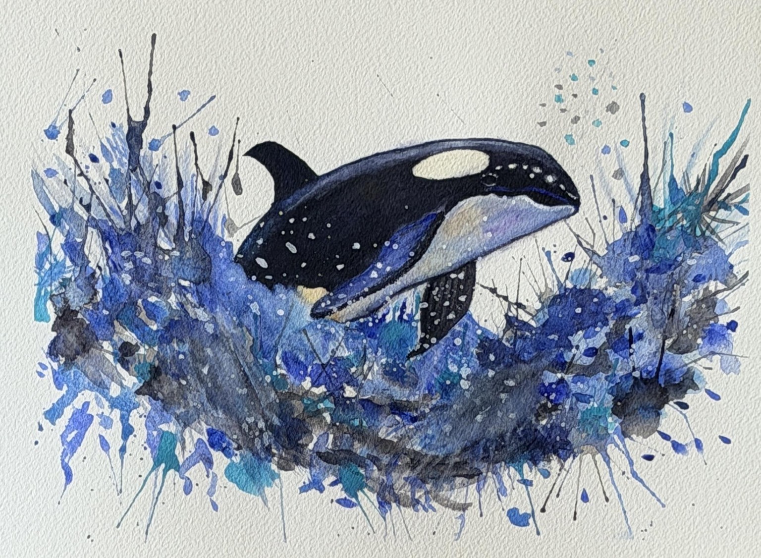Splashy Orca - image 1 - student project