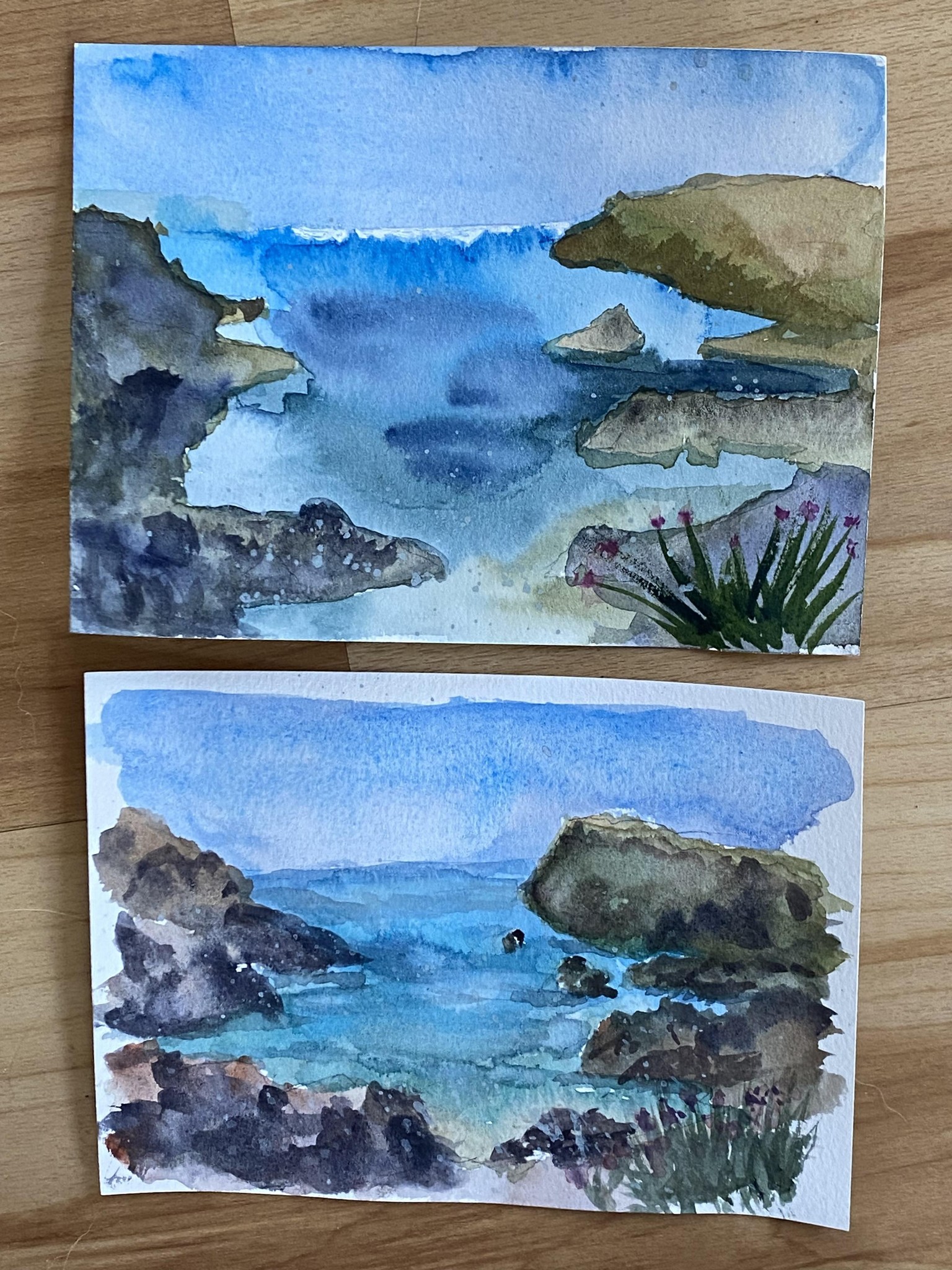 Ocean and country scene - image 2 - student project